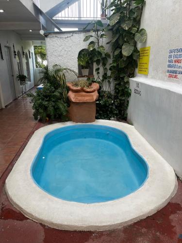 a large blue pool in a courtyard with plants at Hotel Posada del Mar Guayabitos in Guayabitos