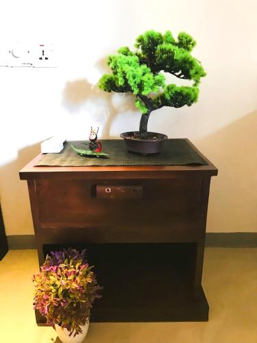 a bonsai tree on a table with two potted plants at Seaware Flowers in Arugam Bay