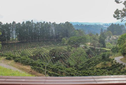 a view of a vineyard from a bridge at El Santuario Ecolodge in Boquete
