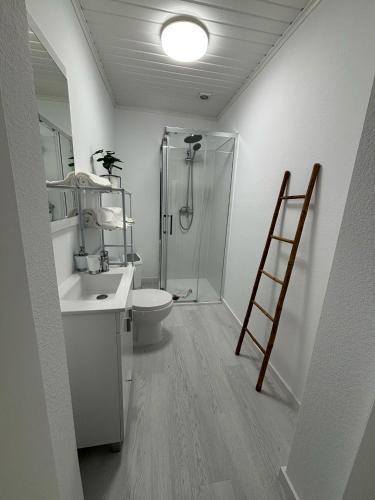 a bathroom with a shower and a toilet and a sink at Casa da Praça I in Vila Nova