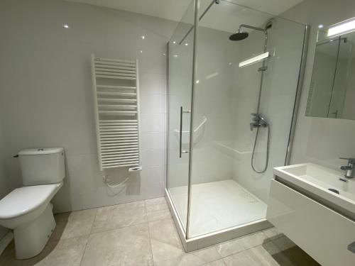 une salle de bain avec une douche, des toilettes et un lavabo dans l'établissement Studio rénové avec terrasse, à 100m de la plage à Arcachon, parking privé inclus - FR-1-374-99, à Arcachon