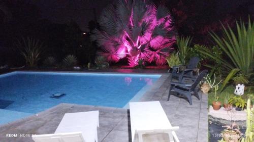 a swimming pool with two chairs and a palm tree at Le Colibris du Lamentin in Lamentin