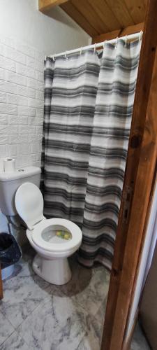 Un baño con inodoro y cortina de ducha. en Morita, en Comandante Luis Piedrabuena