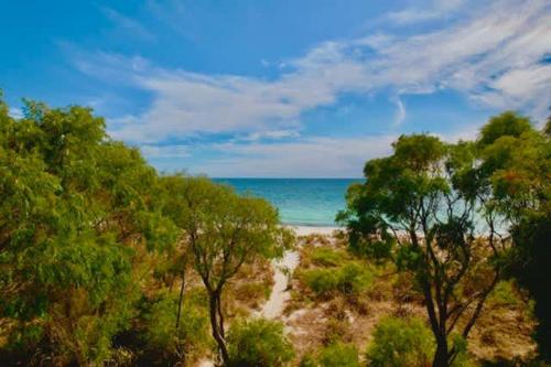 a beach with trees and the ocean in the background at 5@CapeView, beachfront Geographe Bay in Busselton