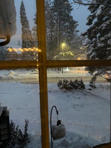 a cat sitting in the snow outside a window at Blue Spruce Bed and Breakfast Muskoka in Gravenhurst