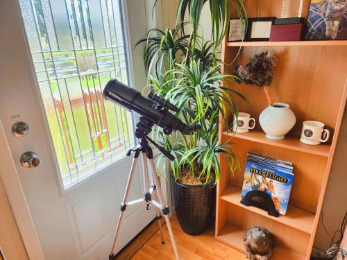 a camera on a tripod next to a plant at Cozy and Relaxing Private Getaway Full Amenities in Bellingham