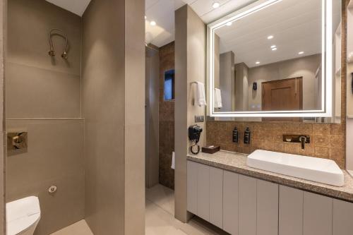 a bathroom with a sink and a mirror at Echor Noah Villa Tirthan Valley in Gushaini