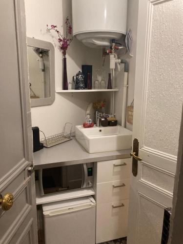 une petite cuisine avec un évier et un micro-ondes dans l'établissement Cosy and central, à Paris