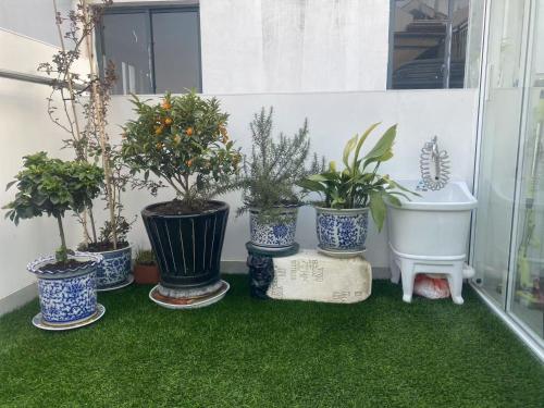 a group of potted plants and a sink in a room at 江南民居 in Suzhou