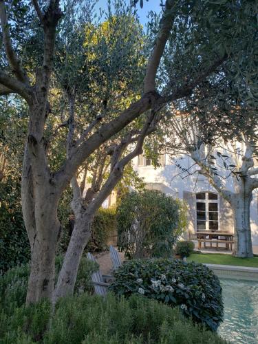 Maison d'hôtes La Bastide de Patou photo 10