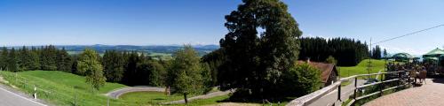 a tree sitting on the side of a road at Panoramagasthof auf dem Auerberg in Bernbeuren