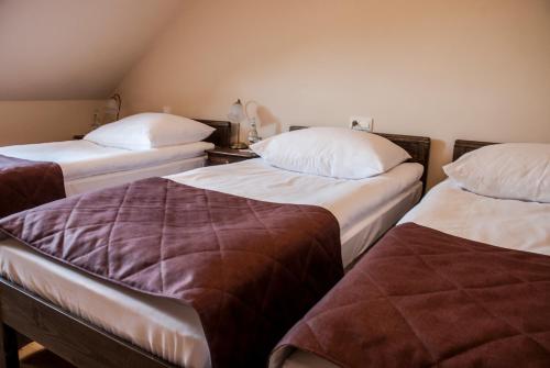 a room with two twin beds in a room at Hotel Pod Kogutkiem in Krzywaczka