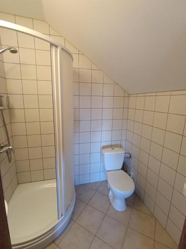 a bathroom with a toilet and a shower at Svečių namai Alėjos Ąžuolas in Druskininkai