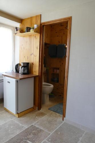 a bathroom with a toilet and a sink in a room at Les bois rouges in La Rochegiron