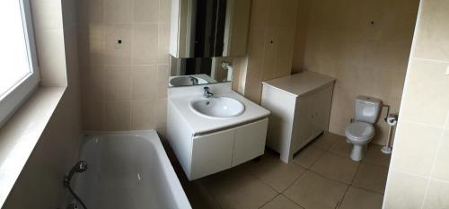 a bathroom with a sink and a toilet at Villa D'este in De Haan