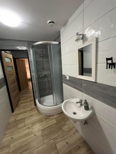 a bathroom with a shower and a sink at Zajazd Leśny Zakątek dawniej Zajazd Don Kichot in Łódź