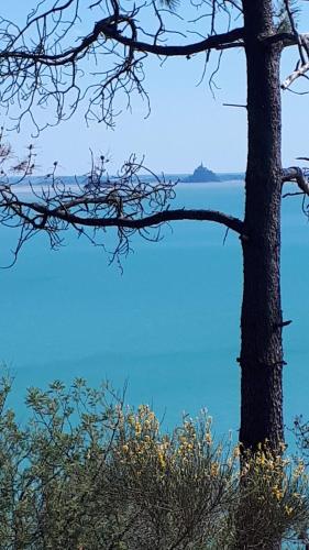 a tree with the ocean in the background at AVRANCHES-BAIE DU MONT SAINT MICHEL - Normandie in Avranches