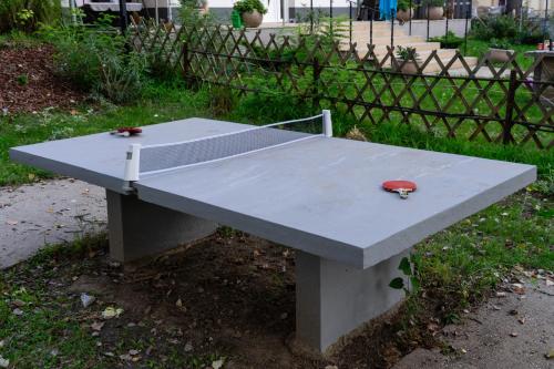 a picnic table with a red object on top of it at Tiszavirág Apartman Màrtèly in Mártély
