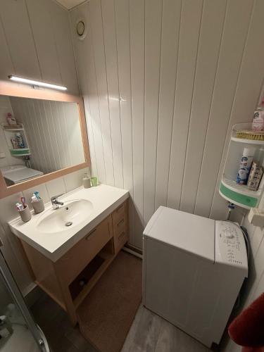 une salle de bain avec un lavabo et un miroir dans l'établissement T3 expo sud, terrasse et vue montagne à Jausiers, à Jausiers