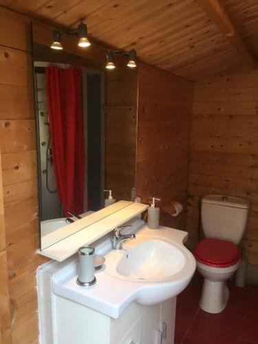 a bathroom with a sink and a toilet and a mirror at Le Mas de la Pinède in Bollène