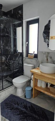 a bathroom with a toilet and a tub and a sink at Casuta CORE in Sadova