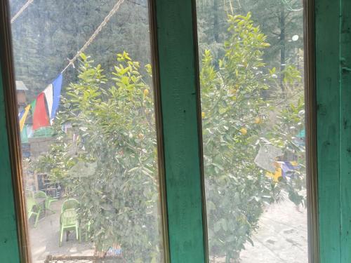 Gallery image of Alanis in Kasol