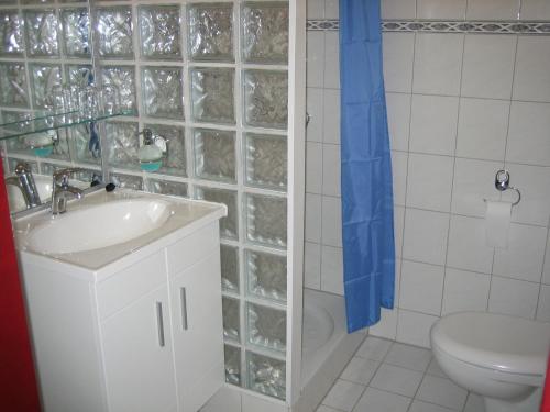 een badkamer met een wastafel, een toilet en een douche bij Hotel Den Helder in Den Helder