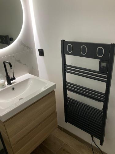 a bathroom with a sink and a mirror at Appartement T2 Sérénité Lumineux et Tranquille in Saint-Alban
