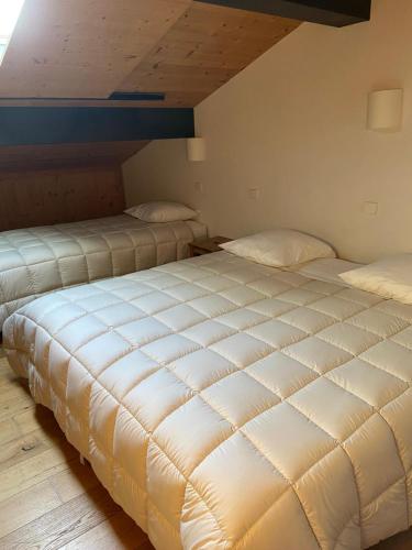 a bedroom with two beds in a room at Chalet Fleur des Alpes 2 in Les Gets