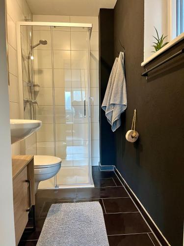 a bathroom with a shower and a toilet and a sink at Bergnest Bad Bayersoien in Bad Bayersoien