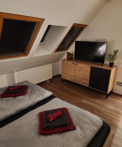 a living room with a flat screen tv and two beds at Magisches Wachstein in Wachstein