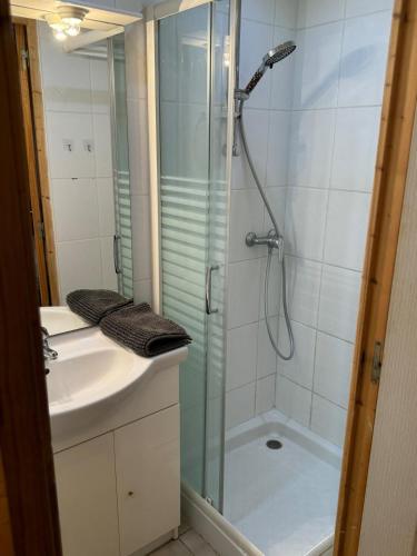 une salle de bain avec douche et lavabo dans l'établissement Maison, à Chatuzange-le-Goubet