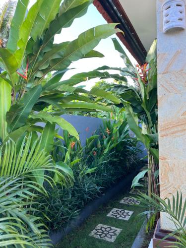 a row of plants in a garden at Kubu In Dhana Guest House in Klungkung