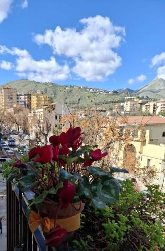 Casa da Giannina photo 54