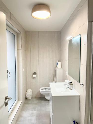 une salle de bain avec toilettes, lavabo et miroir dans l'établissement Logement neuf entier Petite France, à Strasbourg