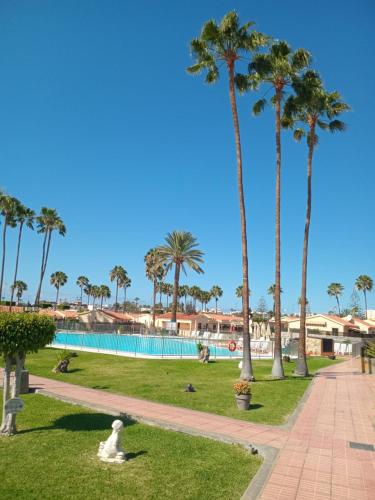 Casita de Gatas OLIA