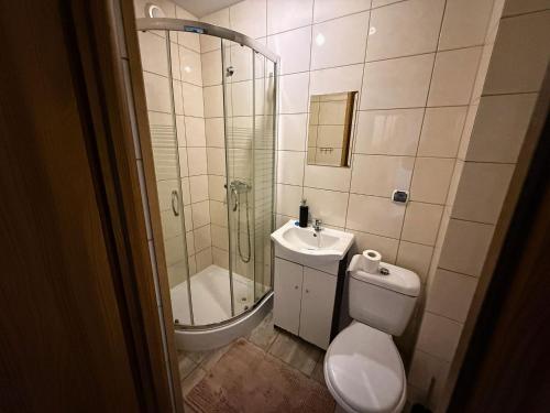 Koupelna v ubytování Kwatery u Anety