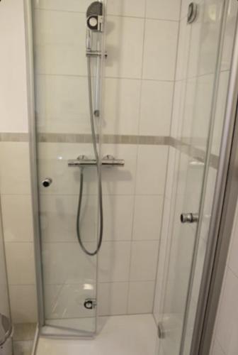 a shower with a glass door in a bathroom at Ferienwohnung Solitüde Strandnah in Flensburg