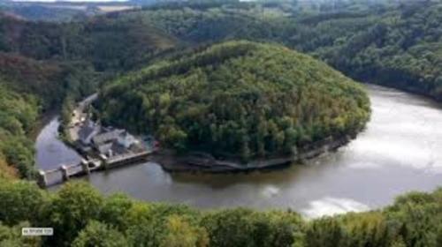 an island in the middle of a river with trees at Le Vieux Noyer in Nassogne