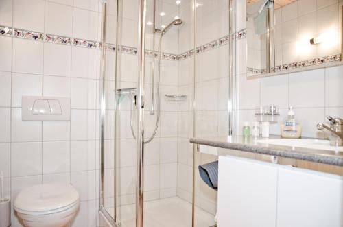 a bathroom with a shower and a toilet and a sink at Delightful 4star Chalet Kiwi Apt in Grindelwald