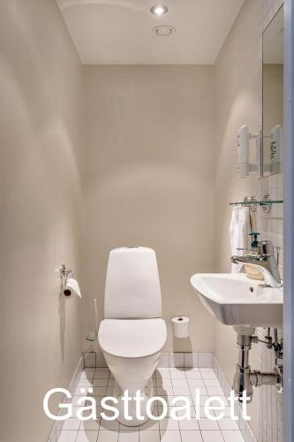 a bathroom with a toilet and a sink at Beach Villa Åre in Åre
