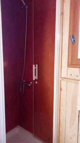 une douche avec une porte vitrée dans une salle de bain dans l'établissement Original tiny, à Aspet