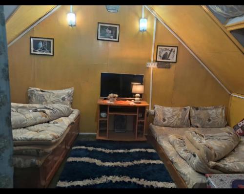 a living room with two couches and a tv at Darjeeling Nest in Darjeeling