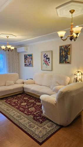 City OASIS in the Heart of Tirana