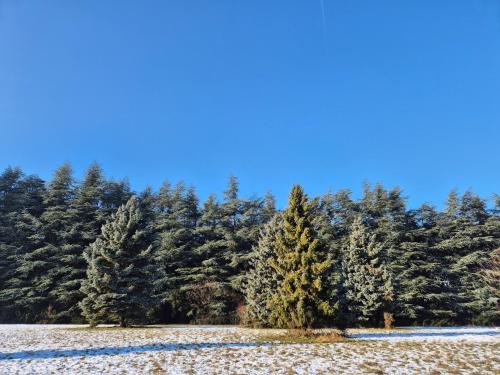 Várhegy apartman im Winter