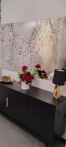 Apartament Warowna Pszczyna centrum