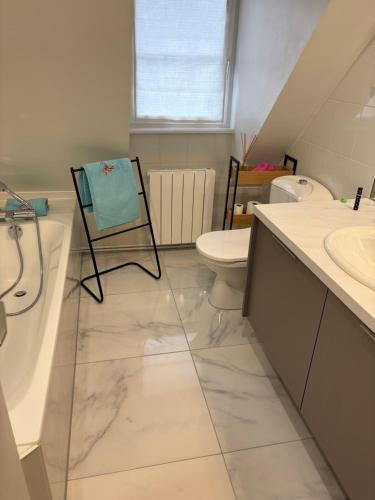 une salle de bain avec un lavabo, des toilettes et une baignoire dans l'établissement La Cigogne, à Strasbourg