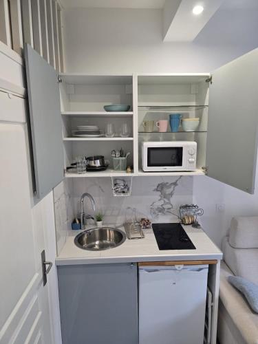une petite cuisine avec un évier et un micro-ondes dans l'établissement Studio dans maison familiale proche Paris et Disney, à Noisy-le-Grand
