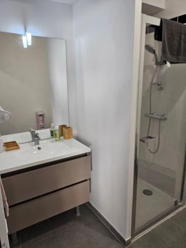 une salle de bain avec un lavabo et une douche dans l'établissement Appartement Velodrome plage, à Marseille