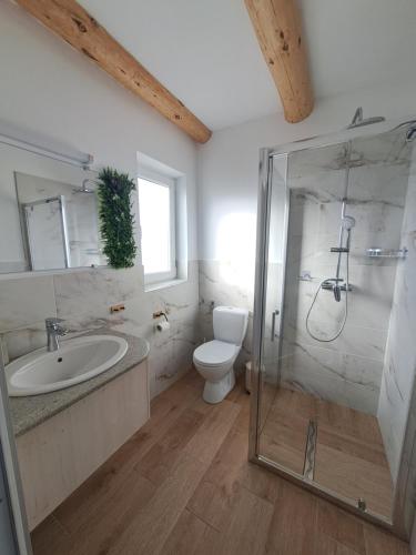a bathroom with a shower and a sink and a toilet at Complex Turistic Padurea Mare in Bălţăteşti